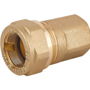 BIGIUNTO TUBO FIX 1" FEMMINA N11106